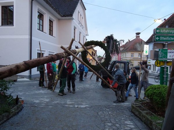 Maibaum 2019