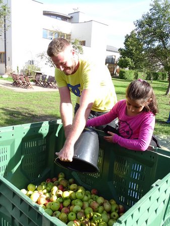 Regionale Jugendobstwiese | Runde 2